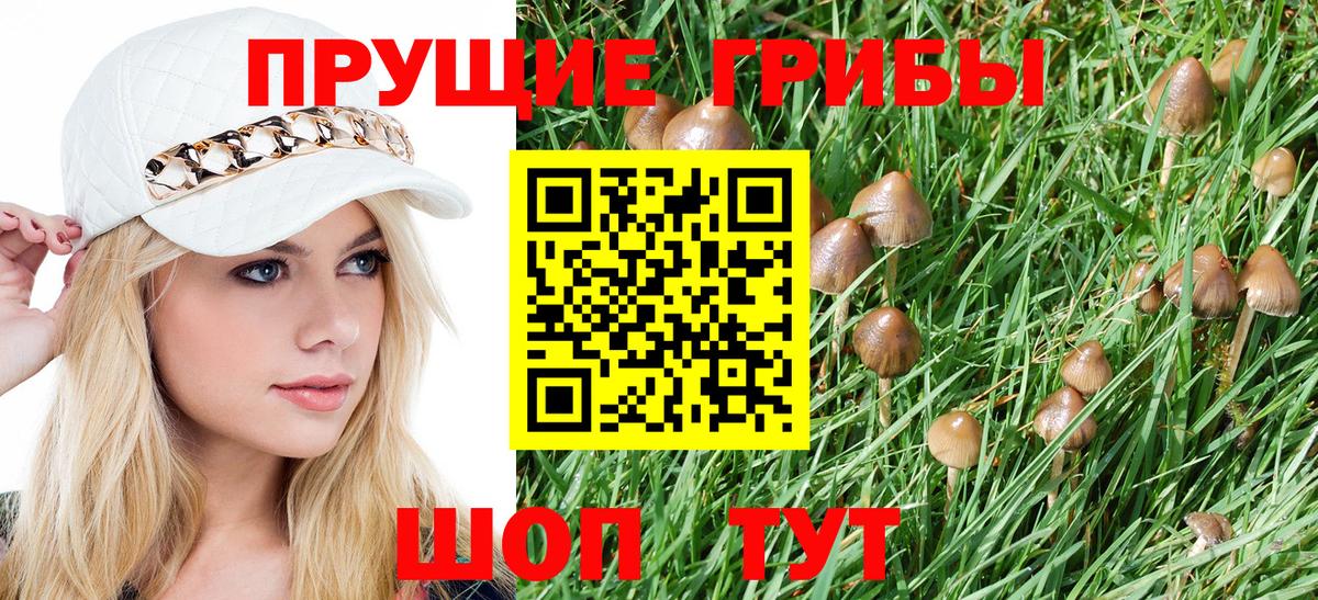 Галлюциногенные грибы Psilocybine cubensis  Вход с VPN  Назрань 