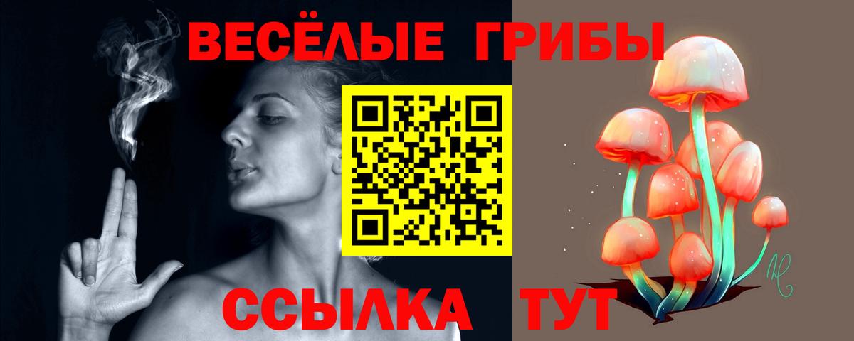 Псилоцибиновые грибы мицелий Назрань